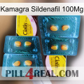 Kamagra Sildenafil 100Mg cialis5